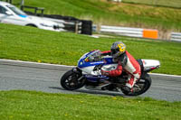 anglesey;brands-hatch;cadwell-park;croft;donington-park;enduro-digital-images;event-digital-images;eventdigitalimages;mallory;no-limits;oulton-park;peter-wileman-photography;racing-digital-images;silverstone;snetterton;trackday-digital-images;trackday-photos;vmcc-banbury-run;welsh-2-day-enduro